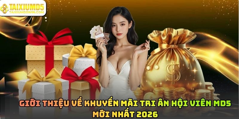 Khuyến mãi tri ân hội viên MD5: Quyền lợi người chơi lâu năm