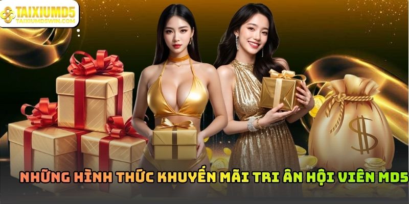 Khuyến mãi tri ân hội viên MD5: Quyền lợi người chơi lâu năm